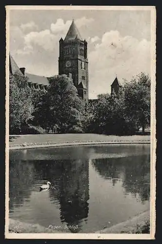 AK Posen / Poznan, Partie am Schloss, Schwan