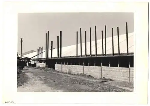 72 Fotografien Ansicht Bern, 62. Eidgenössisches Turnfest 1947, Kassenhäuschen am Bahnhof, Festgelände, Flaggenschmuck