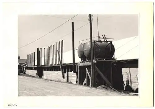 72 Fotografien Ansicht Bern, 62. Eidgenössisches Turnfest 1947, Kassenhäuschen am Bahnhof, Festgelände, Flaggenschmuck