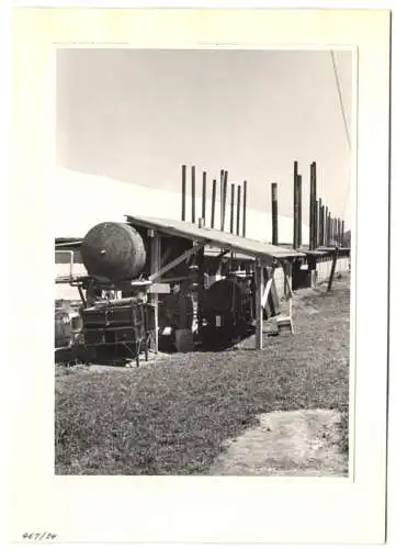 72 Fotografien Ansicht Bern, 62. Eidgenössisches Turnfest 1947, Kassenhäuschen am Bahnhof, Festgelände, Flaggenschmuck