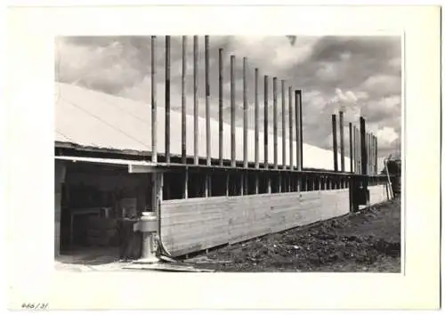 72 Fotografien Ansicht Bern, 62. Eidgenössisches Turnfest 1947, Kassenhäuschen am Bahnhof, Festgelände, Flaggenschmuck