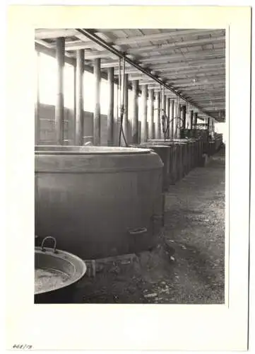 72 Fotografien Ansicht Bern, 62. Eidgenössisches Turnfest 1947, Kassenhäuschen am Bahnhof, Festgelände, Flaggenschmuck