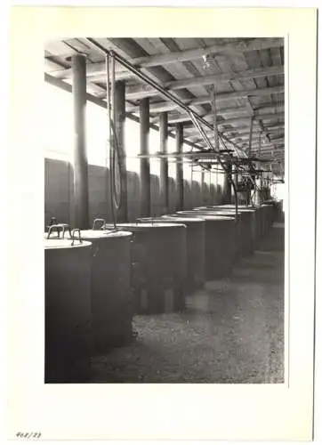 72 Fotografien Ansicht Bern, 62. Eidgenössisches Turnfest 1947, Kassenhäuschen am Bahnhof, Festgelände, Flaggenschmuck