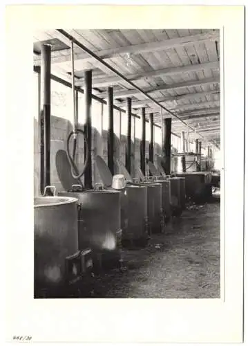 72 Fotografien Ansicht Bern, 62. Eidgenössisches Turnfest 1947, Kassenhäuschen am Bahnhof, Festgelände, Flaggenschmuck