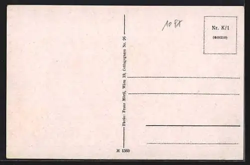 AK Mallnitz /Kärnten, Stapitzer-See, Seebachtal und Ankogel