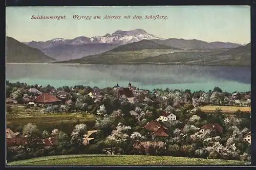 AK Weyregg am Attersee, Ansicht mit dem Schafberg