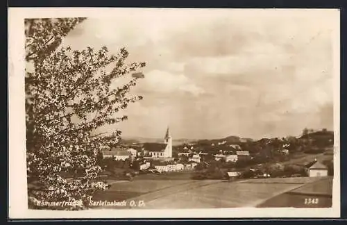 AK Sarleinsbach /O. D., Ortsansicht aus der Vogelschau