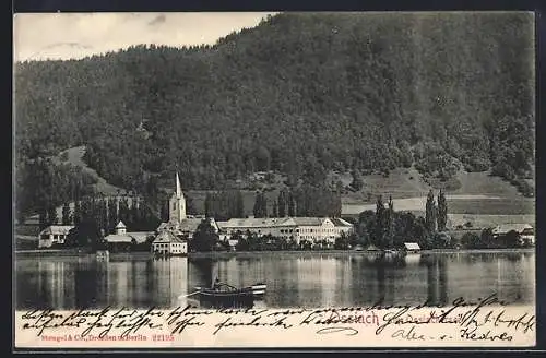 AK Ossiach am Ossiachersee, Ortsansicht vom See aus