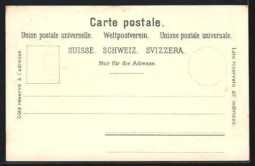 Lithographie Zürich, Panorama mit Brücken, Postgebäude