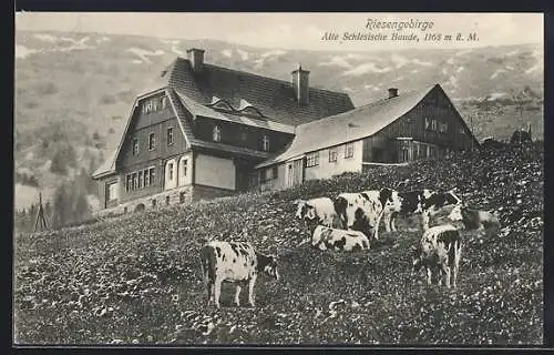 AK Alte Schlesische Baude im Riesengebirge im Sommer