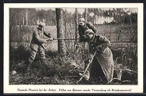 AK Pioniere beim Fällen der Bäume zwecks Verwendung zum Brückenbau