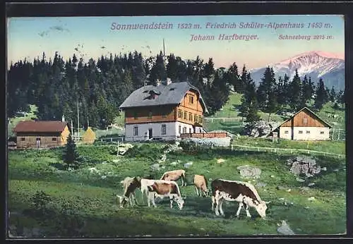 AK Friedrich Schüler-Alpenhaus, Berghütte von Johann Hartberger mit Schneeberg