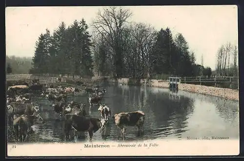 AK Maintenon, Abreuvoir de la Folie