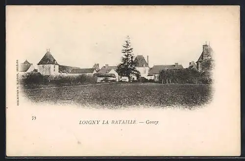 AK Loigny-la-Bataille, Vue du village et des bâtiments historiques de Goury