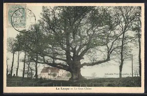 AK La Loupe, Le Gros Chêne