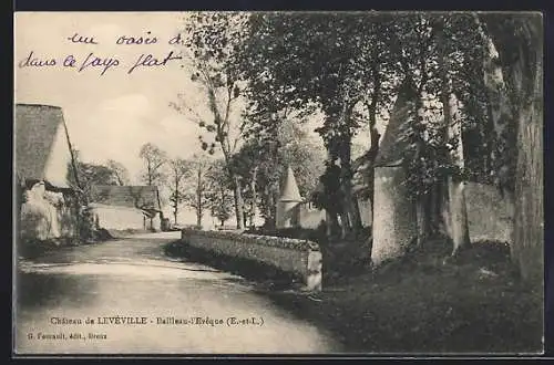 AK Bailletau-l`Évêque, Château de Levéville et allée bordée d`arbres