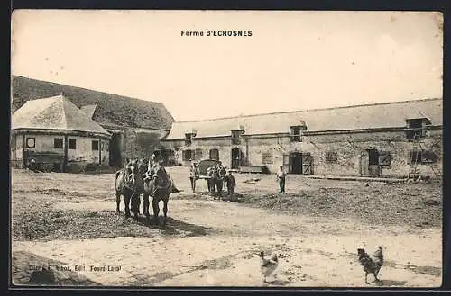 AK Écrosnes, Scène rurale à la ferme avec chevaux et poules