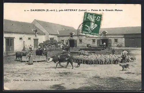 AK Dambron, Ferme de la Grande Maison avec troupeau de moutons et vaches dans la cour