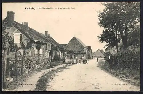 AK Le Bois, près de Nottonville, Une rue du pays