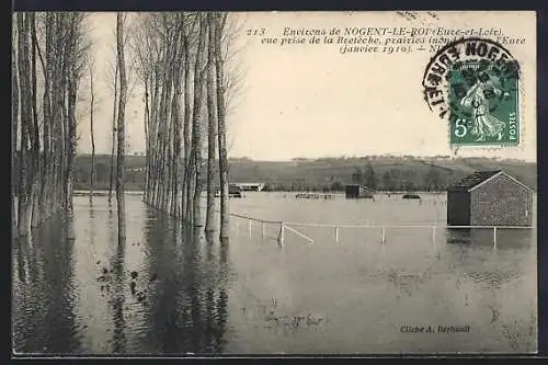 AK Nogent-le-Roi, Vue prise de la Bêteche, prairies inondées par l`Eure (janvier 1910)