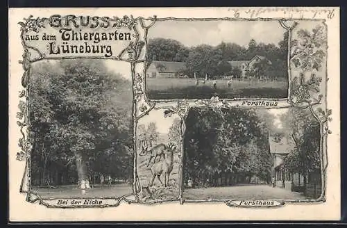 AK Lüneburg, Tiergarten, Forsthaus, Bei der Eiche, Rehe