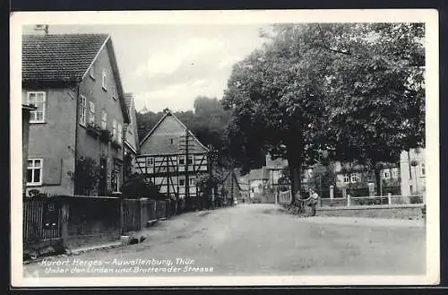 AK Herges-Auwallenburg /Thür., Unter den Linden und Brotteroder Strasse