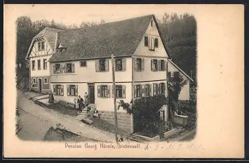 AK Liebenzell, Hotel Georg Hörnle, Aussenansicht