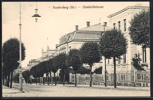 AK Frankenberg /Sa., Partie in der Humboldtstrasse