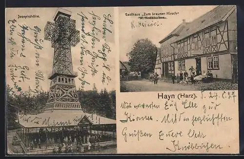 AK Hayn /Harz, Josephshöhe, Gasthaus zum braunen Hirsch