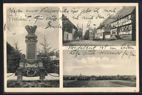 AK Hayn / Harz, Kriegerdenkmal und Ortsansichten