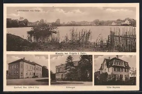 AK Miesitz bei Triptis, Gasthof von Alfred Pilz, Rittergut und Villa Beyrich