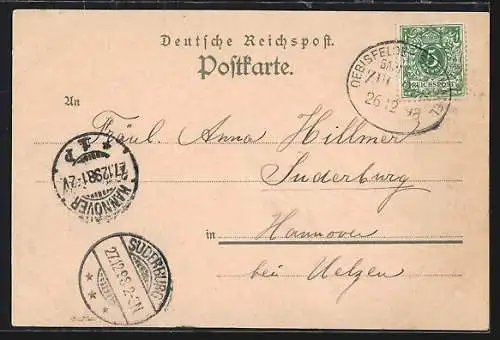 Lithographie Cunrau, Kamps Hotel, Rimpausches Schloss, Kirche