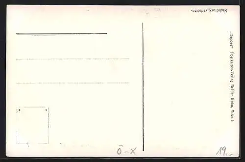 AK Ischl, Denkmal-Enthüllung, Versammelte Menge mit Standarten