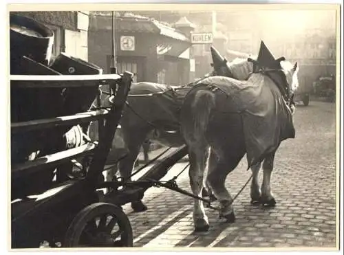 Fotografie unbekannter Fotograf, Ansicht Augsburg, Pferdekarren mit Bierfässern, Brauerei Wagen in einer Seitestrasse