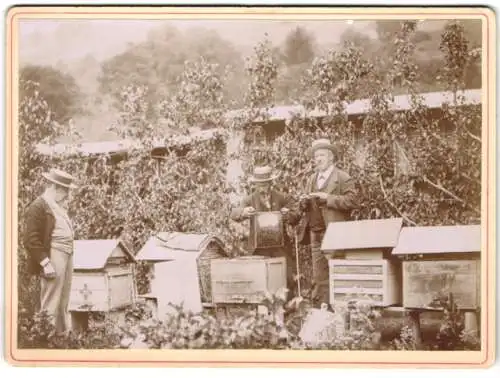 Fotografie F. Dragont, Maudon, Imker mit ihren Bienenstöcken, entnahme des Honigs