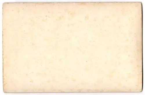 Fotografie E. Schüler, Verl, Ansicht Erfurt / Thüringen, Dom und Severinskirche