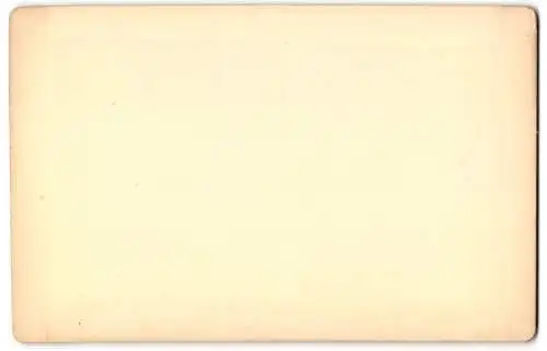 Fotografie A. Jager, Amsterdam, Ansicht 's Gravenhage, De Vijver