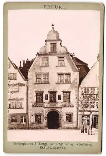 Fotografie K. Festge, Erfurt, Ansicht Erfurt / Thüringen, Geschäftshaus Hausnummer 31