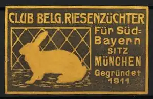 Reklamemarke München, Club Belg. Riesenzüchter, Hase, 1911