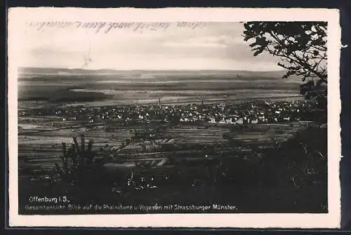 AK Offenburg i. S., Gesamtansicht mit Blick auf die Rheinebene und Vogesen mit Strassburger Münster