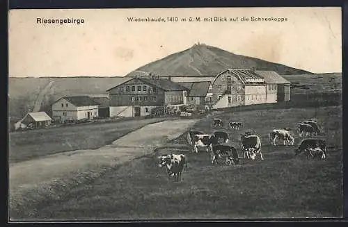 AK Riesengebirge, Wiesenbaude mit Blick auf die Schneekoppe