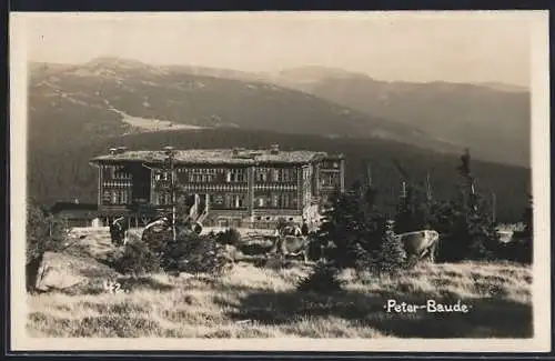 AK Peter-Baude, Berghütte mit Panorama