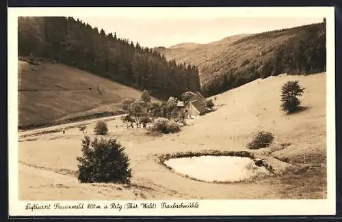 AK Frauenwald, Blick zur Traubachmühle