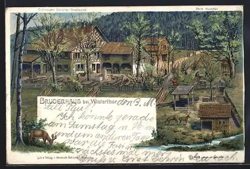 Künstler-AK C. Steinmann: Winterthur, Gasthof Bruderhaus mit Hirschgehege