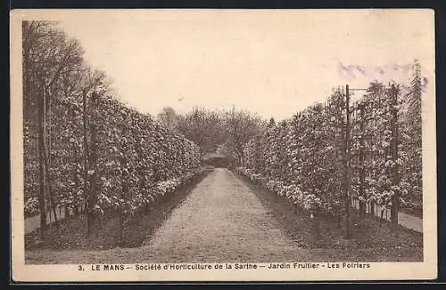 AK Le Mans, Jardin Fruitier de la Société d`Horticulture de la Sarthe, Les Poiriers