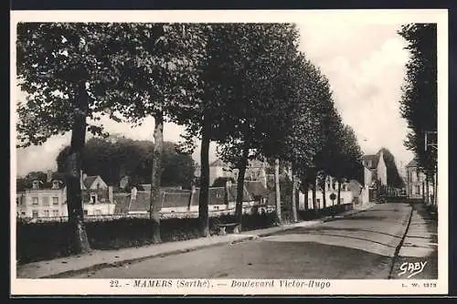 AK Mamers, Boulevard Victor-Hugo avec arbres alignés et maisons en arrière-plan