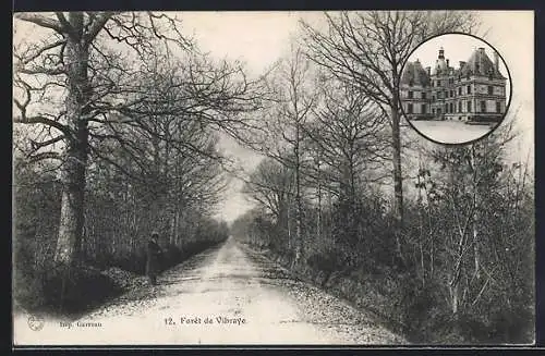 AK Vibraye, Chemin forestier et vue du château en médaillon