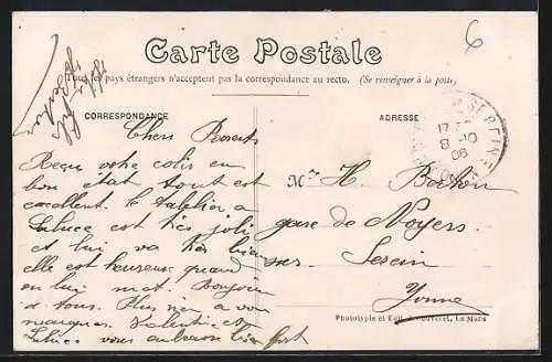 AK Vibraye, Traversée de la Forêt de Vibraye et Château