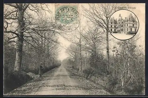 AK Vibraye, Entrée de la forêt et vue du Château de Vibraye