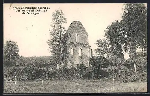 AK Perseigne, Les Ruines de l`Abbaye de Perseigne dans la Forêt